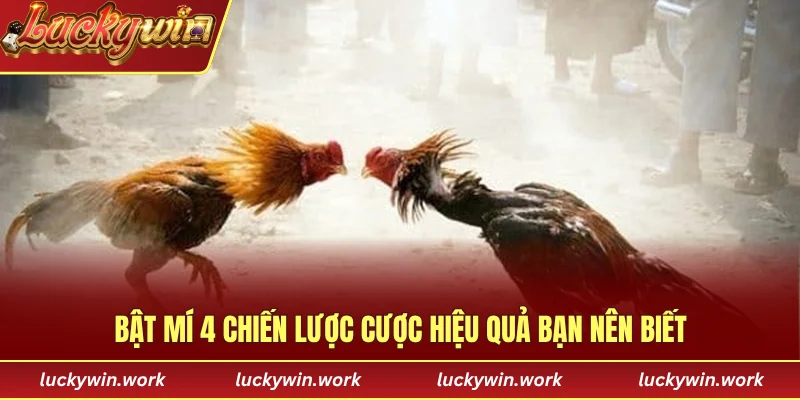 Bật mí 4 chiến lược cược hiệu quả bạn nên biết