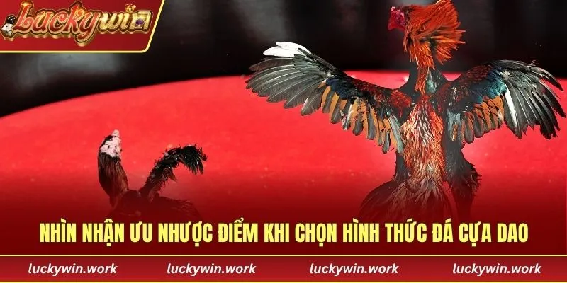 Nhìn nhận ưu nhược điểm khi chọn hình thức đá cựa dao