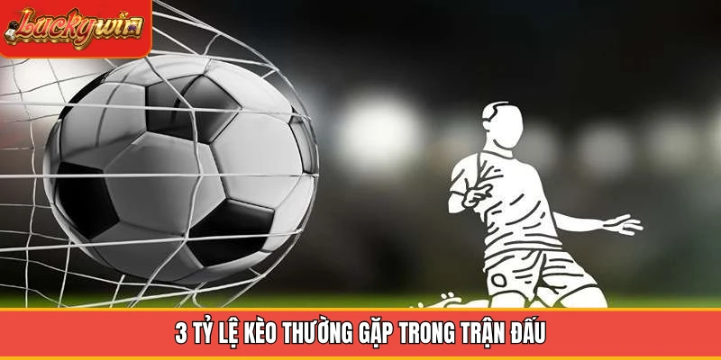 3 tỷ lệ kèo thường gặp trong trận đấu 3 tỷ lệ kèo thường gặp trong trận đấu